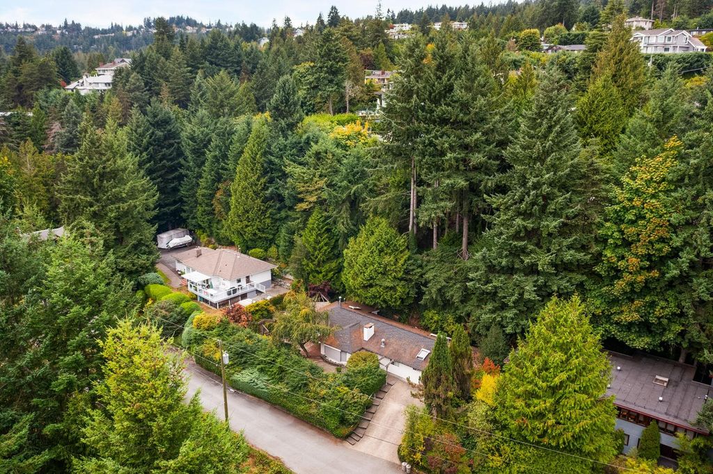 listing image 1101574280206463913