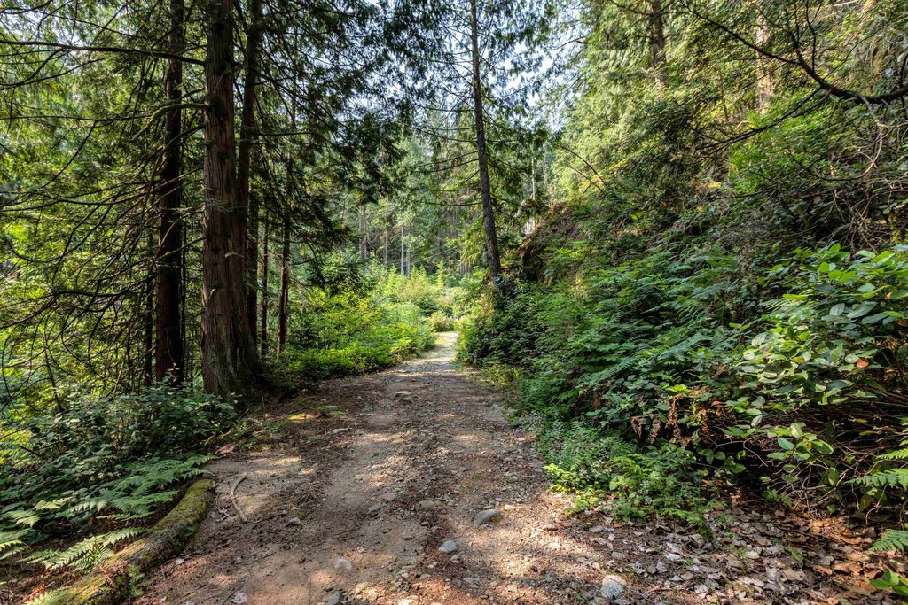 listing image 1102824309103051730