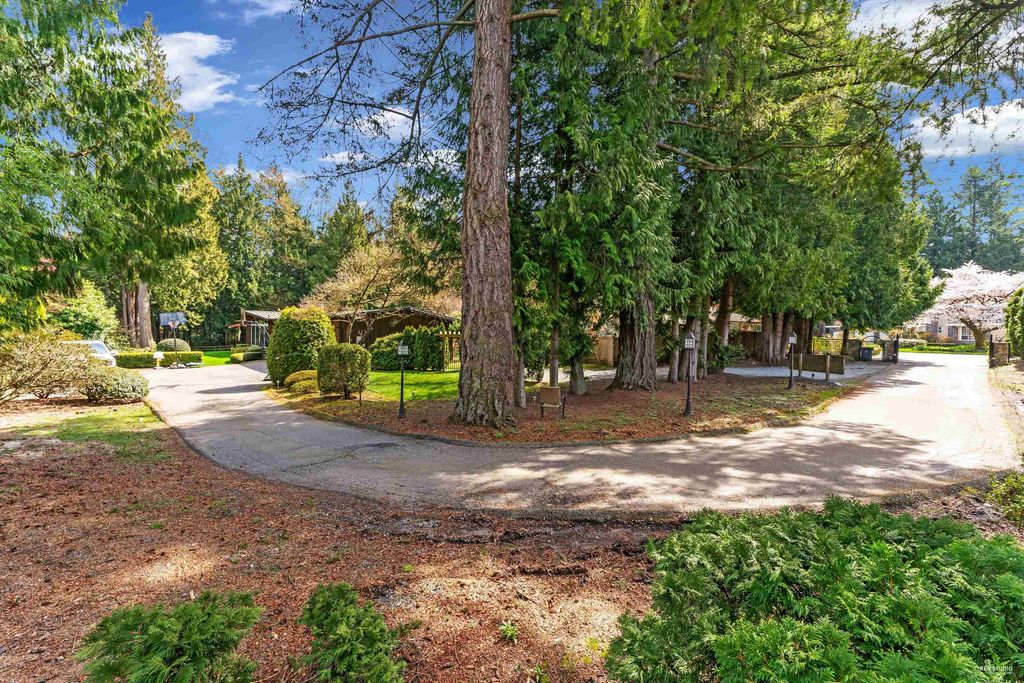listing image 1100330026880256240