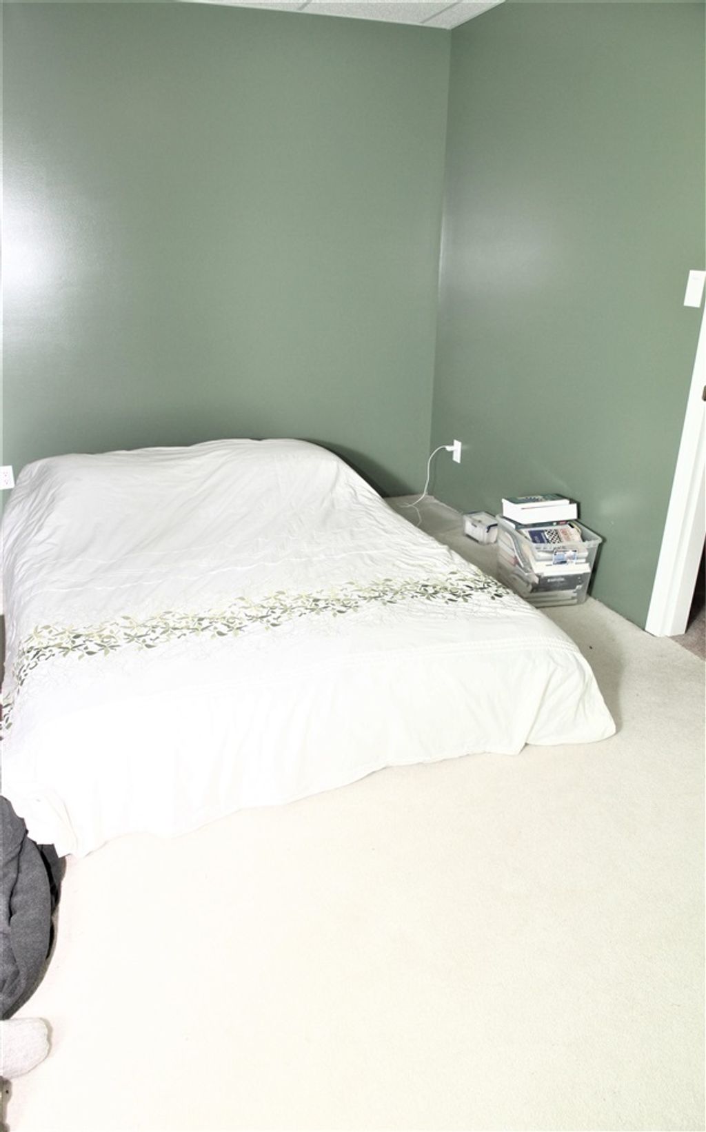 listing image 1109715671343252635