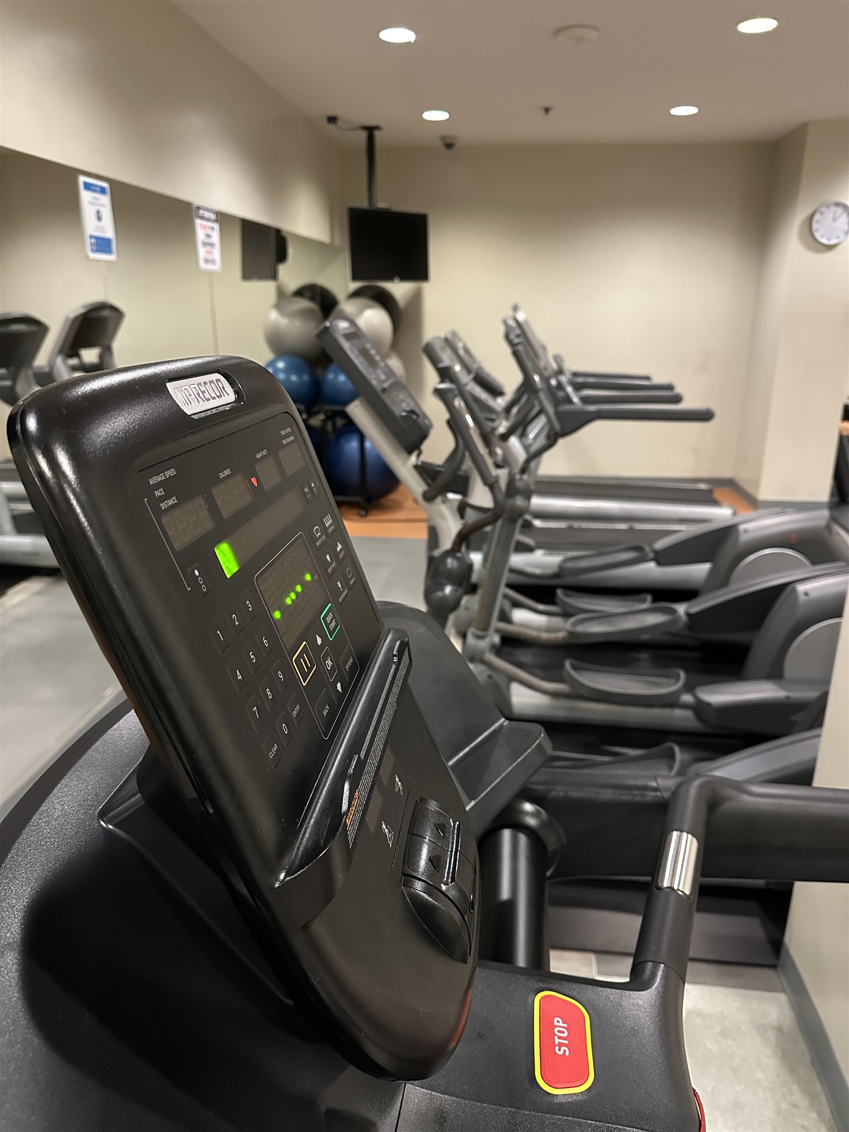 788 Hamilton Street 1710