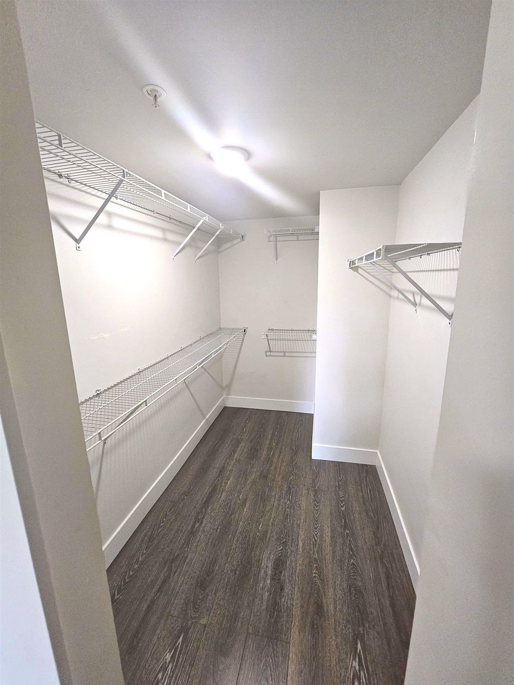 listing image 1105968101512082125