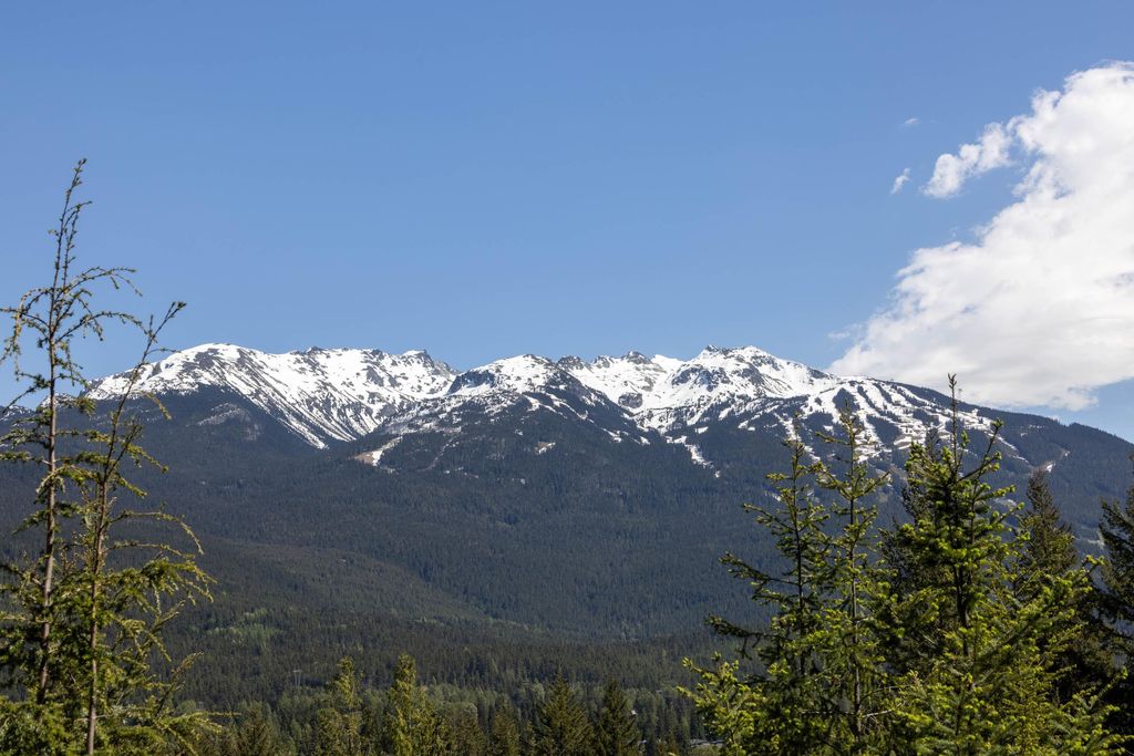 listing image 1101475609187616734