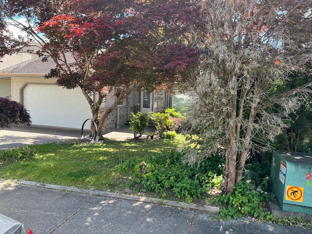 Photo of 23776 110 Avenue, Maple Ridge, BC V2W 1E7 (MLS # R3137265)