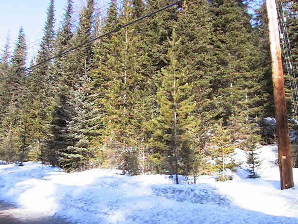 listing image 1103269058621581208