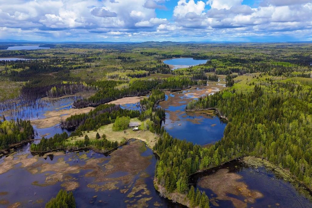 listing image 1108201963119923010