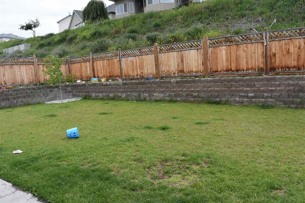 listing image 1105010842806673545
