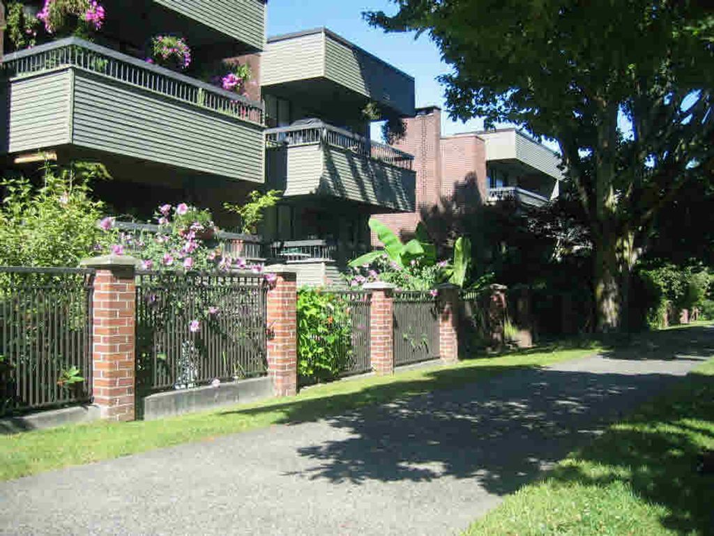 listing image 1109878576864429842