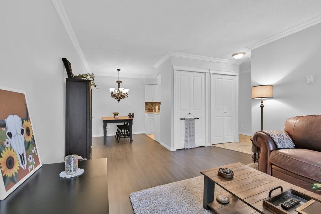 listing image 1100016520962736016