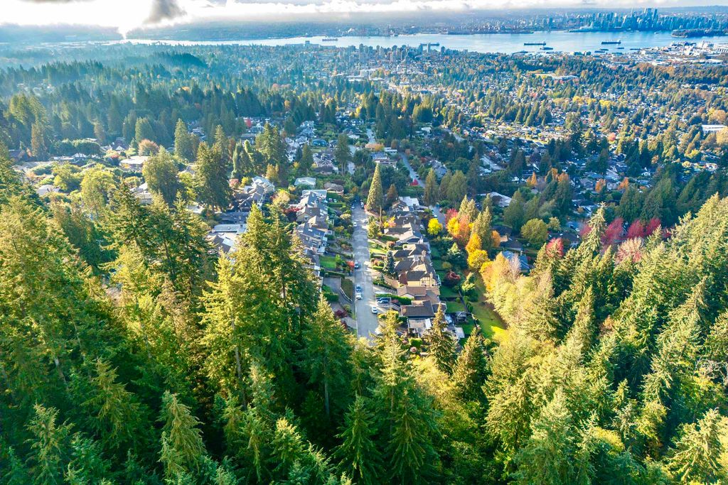 listing image 1109454223114081369