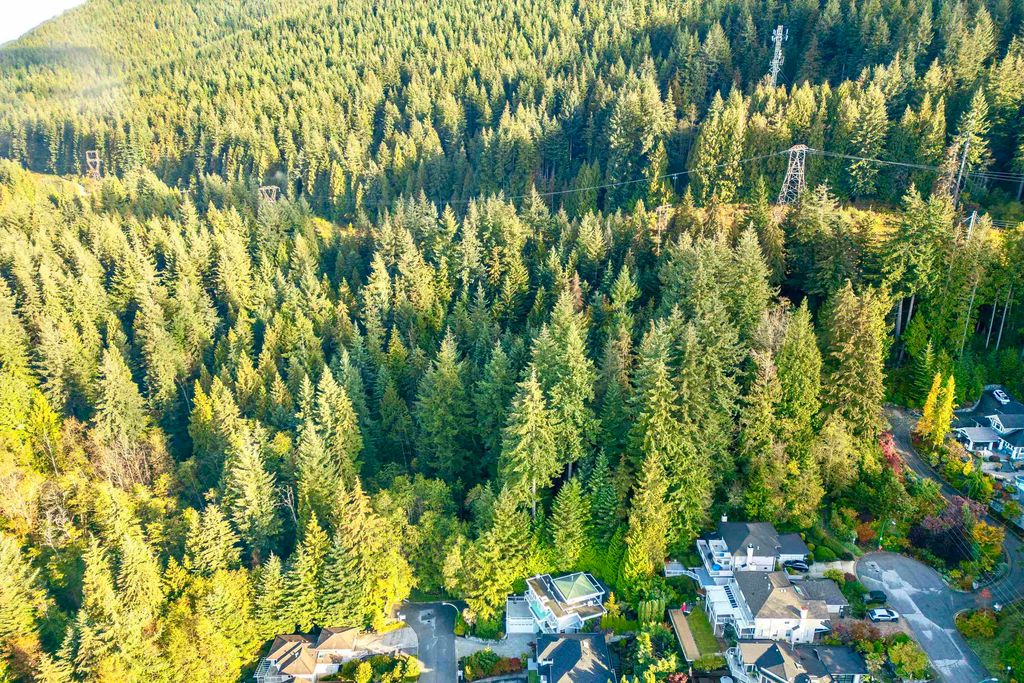 listing image 1108584065040609977