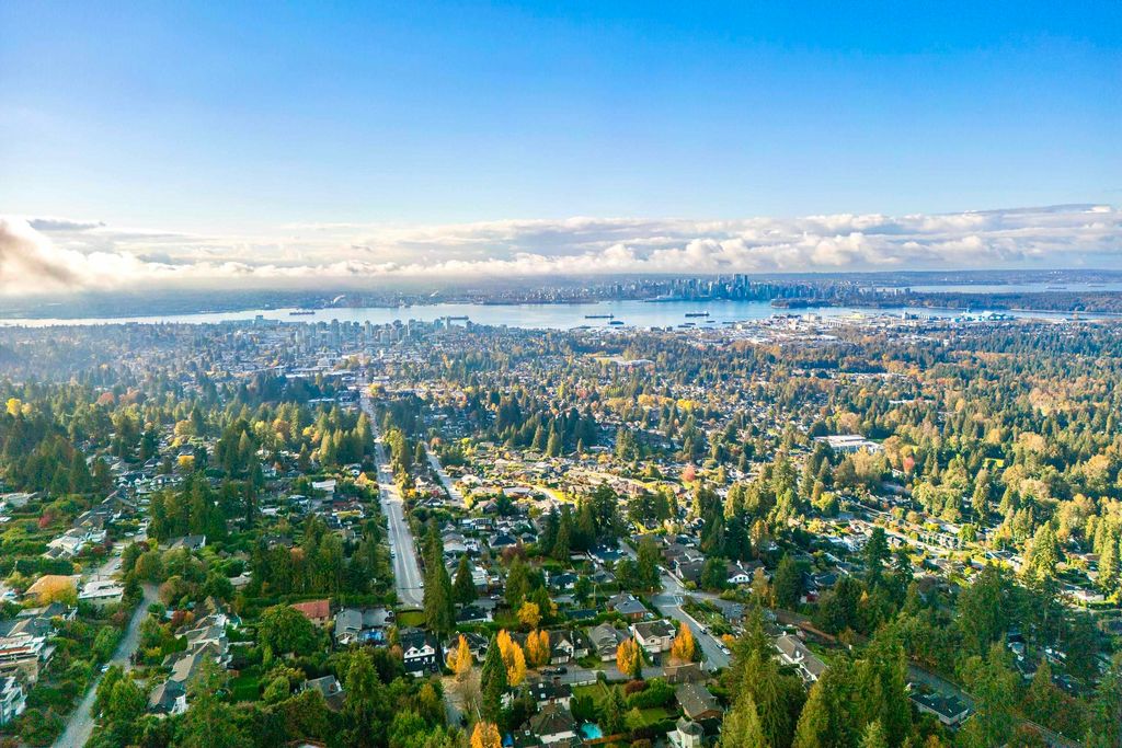 listing image 1102317311500803852