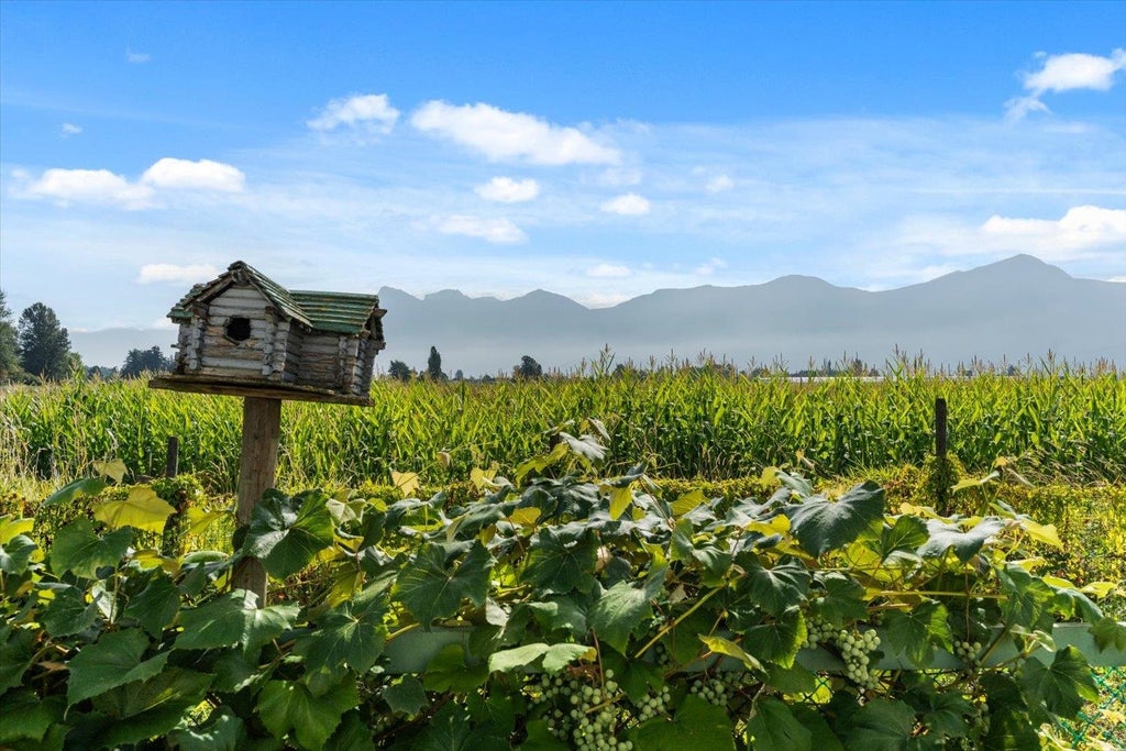 Photo of 46702 Arbutus Avenue, Chilliwack, BC V2P 6P4 (MLS # R3155052)