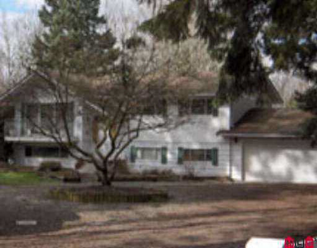 listing image 1104917868041360619