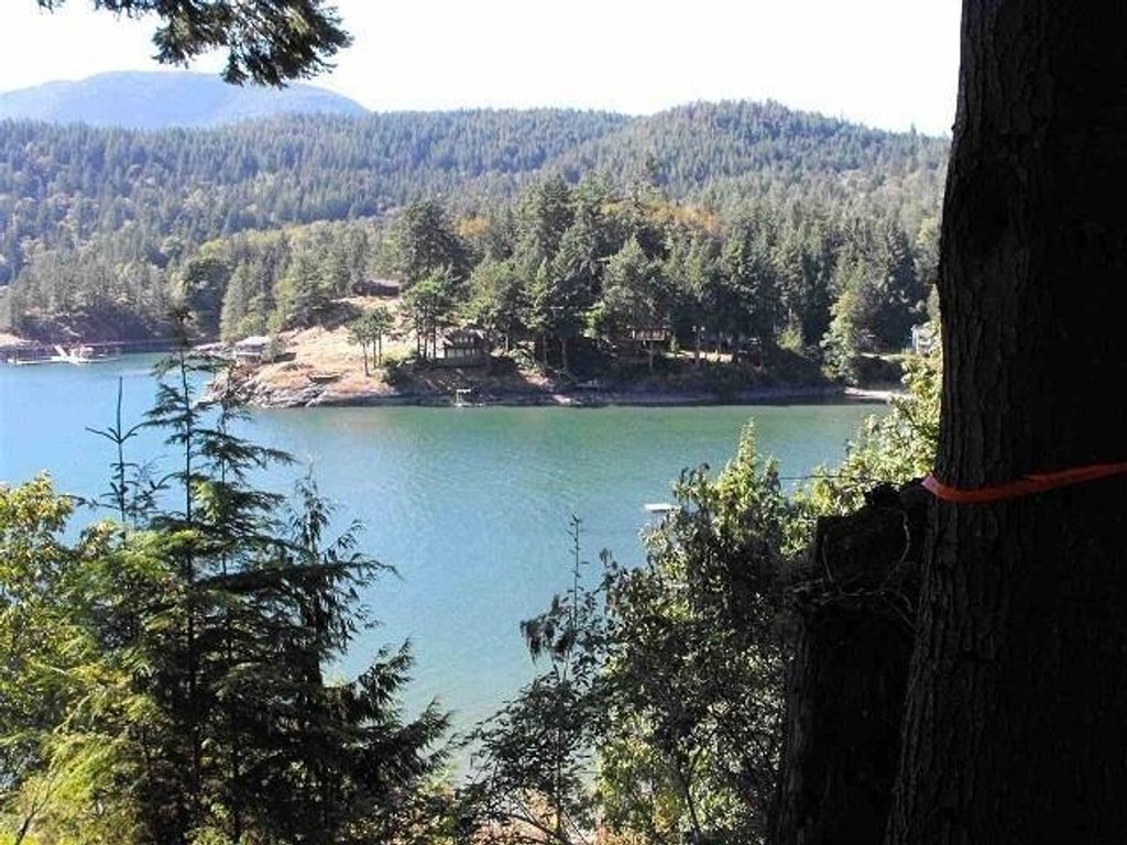listing image 1107485435874875437