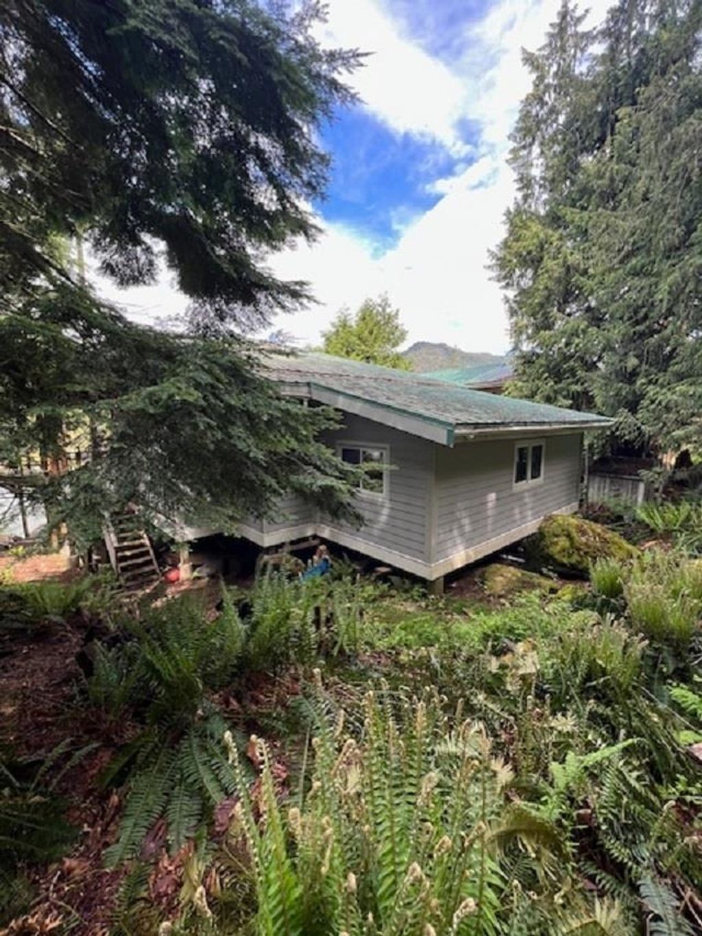 listing image 1101392075321078667