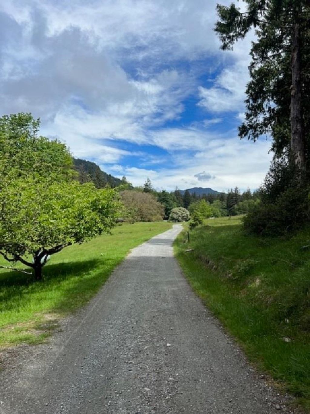 listing image 1105685952080304958