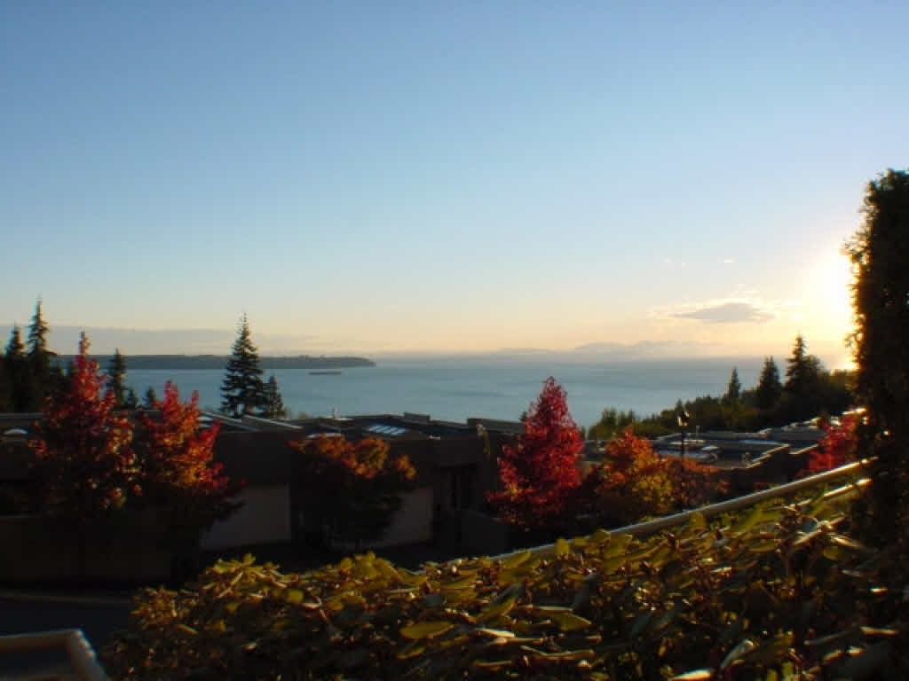 listing image 1106553981781130383