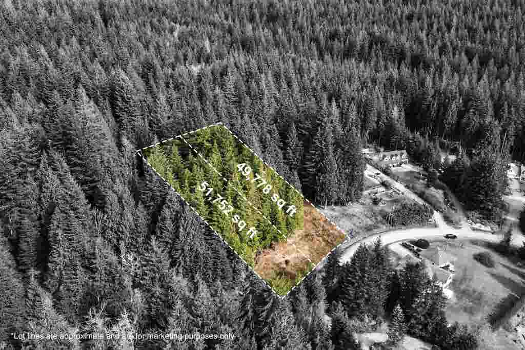 Photo of 27629 128 Avenue, Maple Ridge, BC V2W 1N5 (MLS # R3152854)