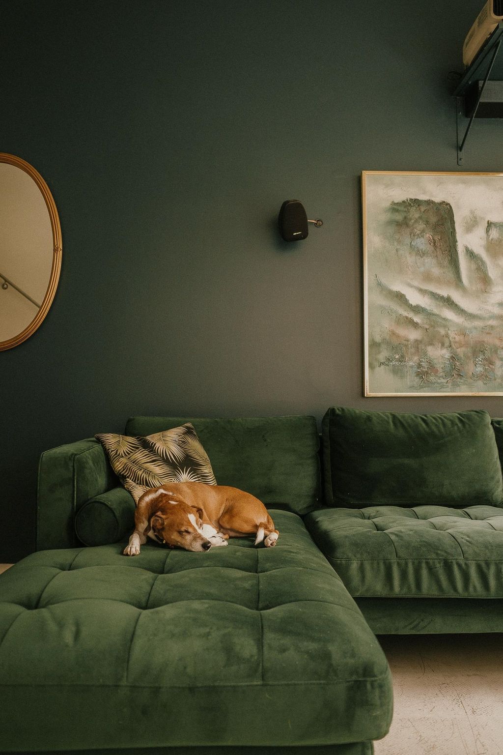 listing image 1103301421276141011