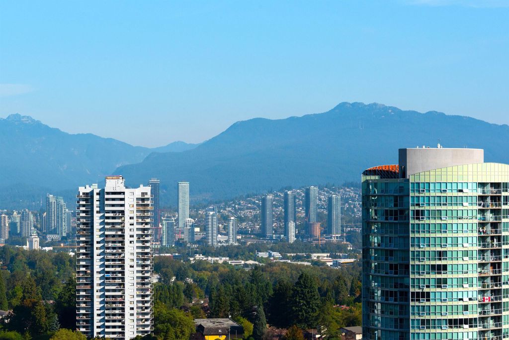 listing image 1101342838968820829