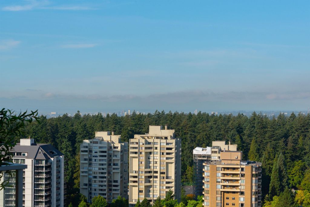 listing image 1106421118717372834