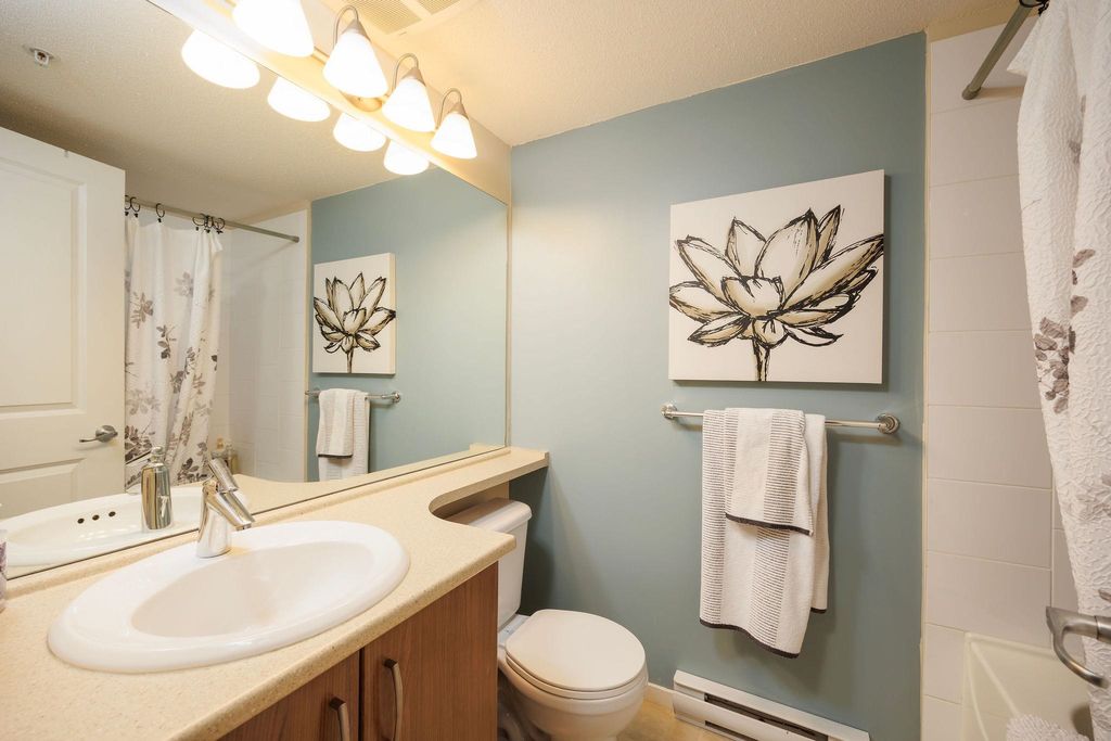 listing image 1103621888499706245