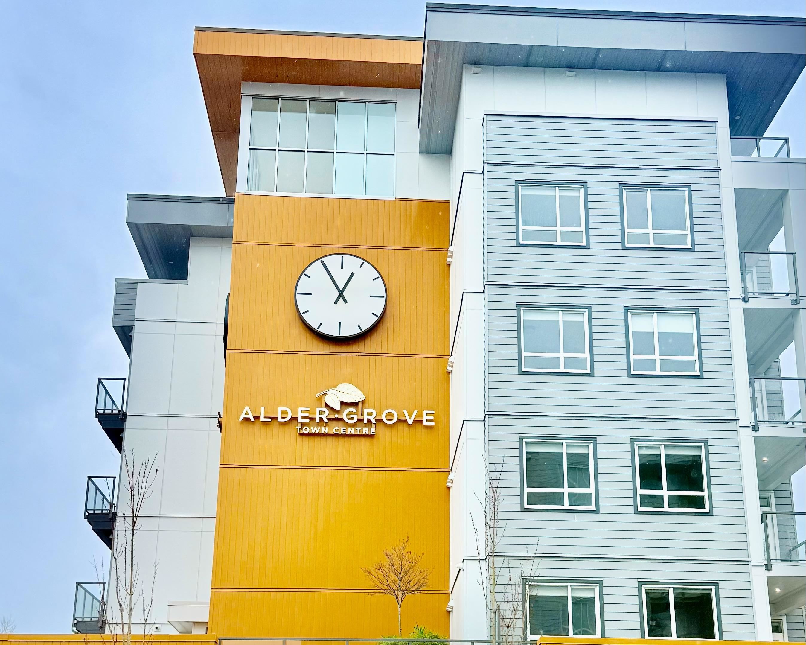 27215 Aldergrove Town Centre Drive 301