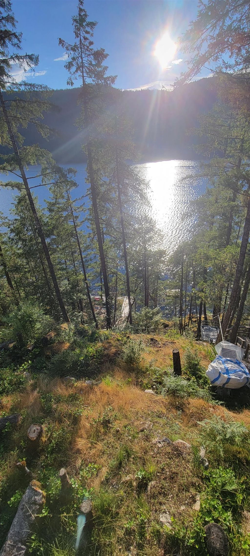 listing image 1102060627565748244
