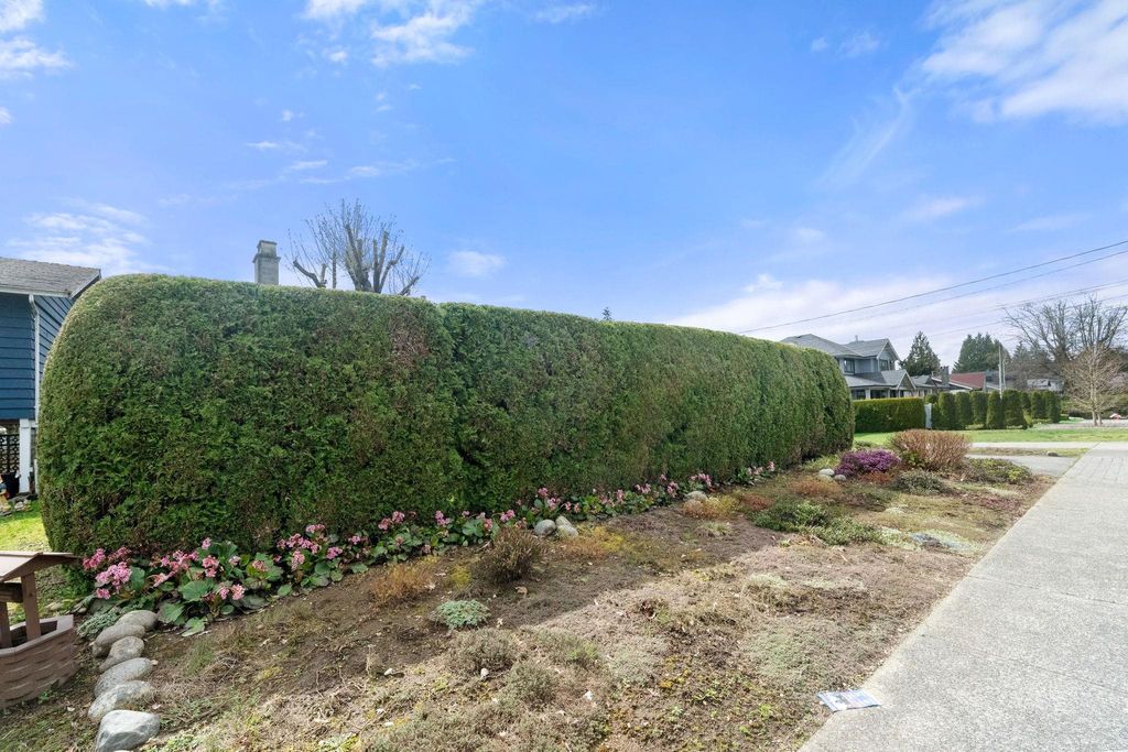 listing image 1102844155648294386