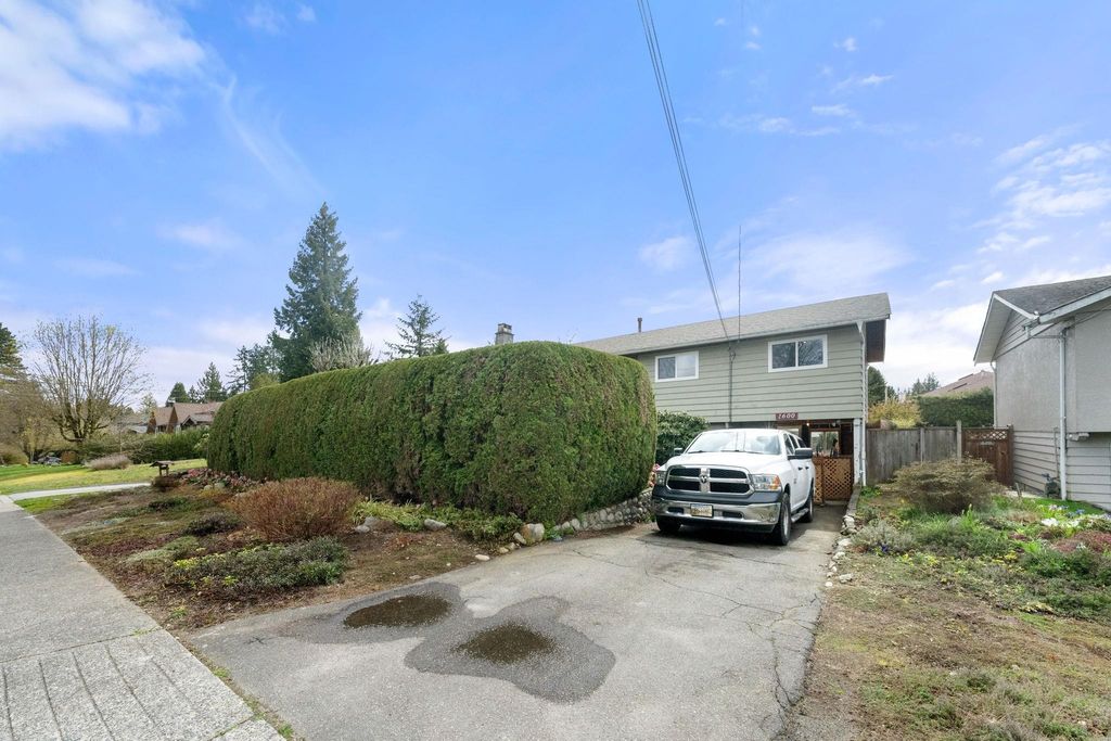 listing image 1100782226089306410