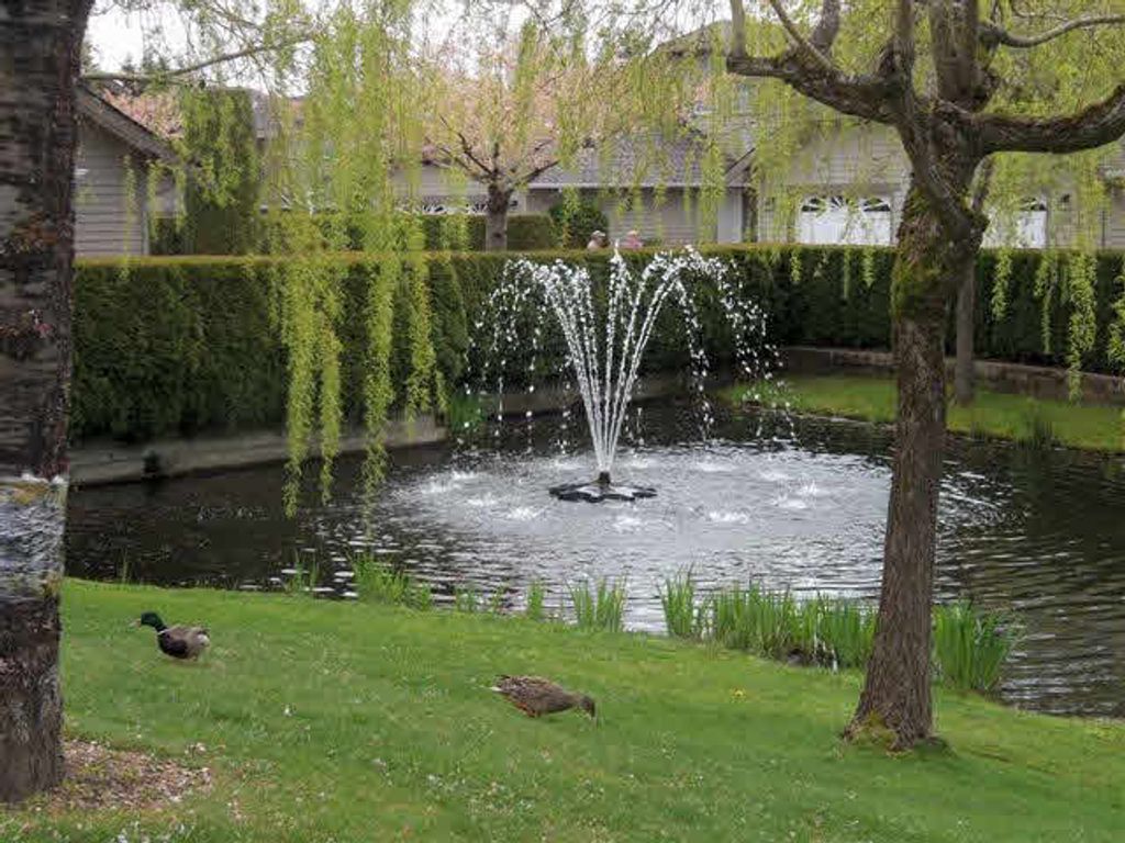 listing image 1104581769739794728