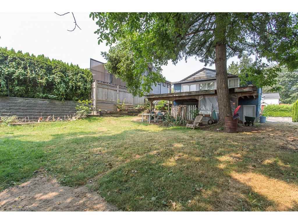 listing image 1107352450143353300