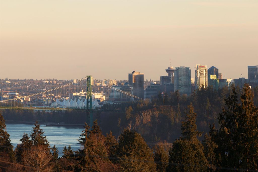listing image 1100192011504631727