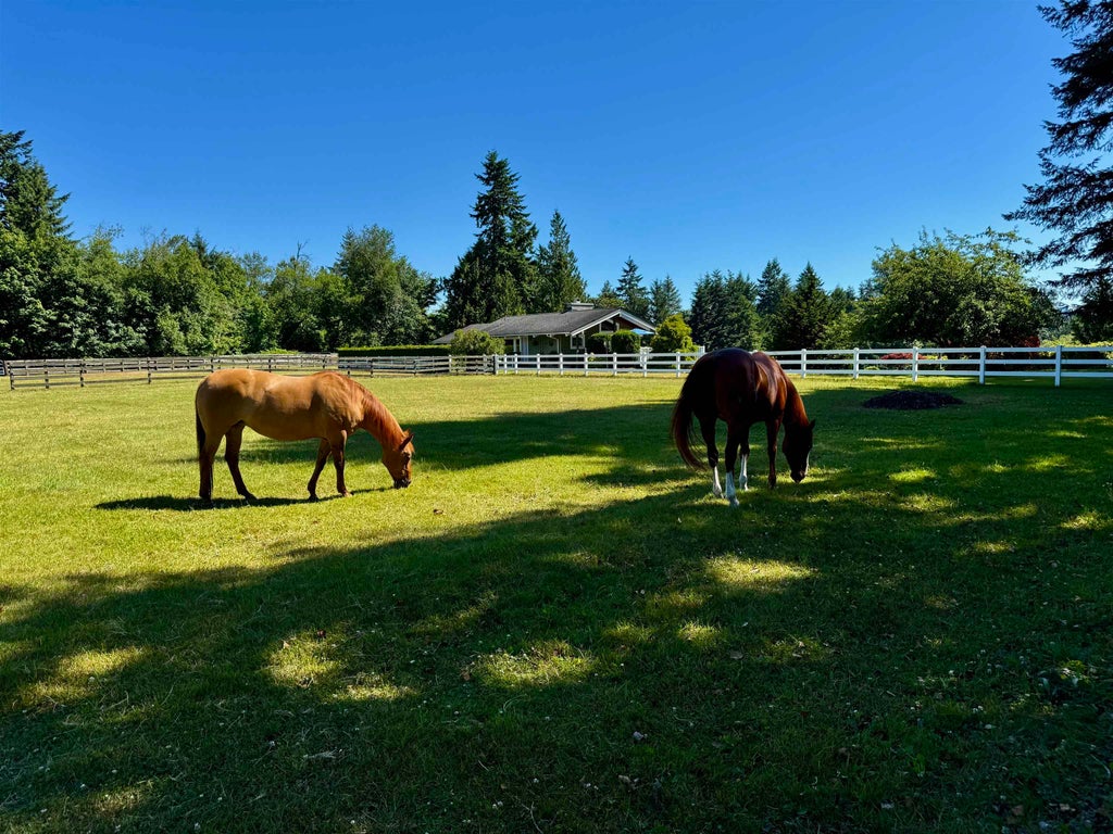 Photo of 25177 64 Avenue, Langley, BC V4W 1H5 (MLS # R3166860)
