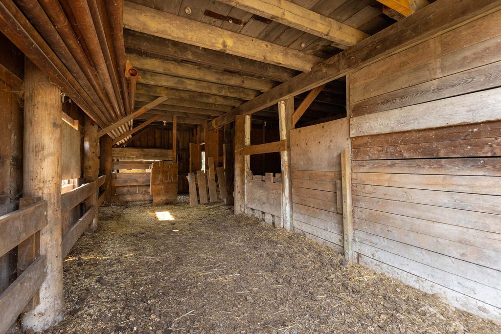 listing image 1102525037908721559