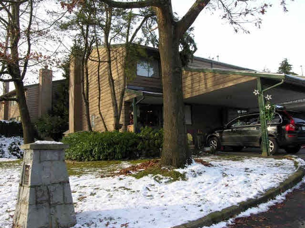 listing image 1103081345371538862