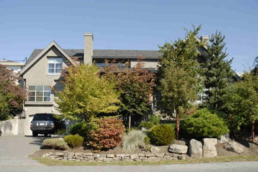 listing image 1100164379425877739