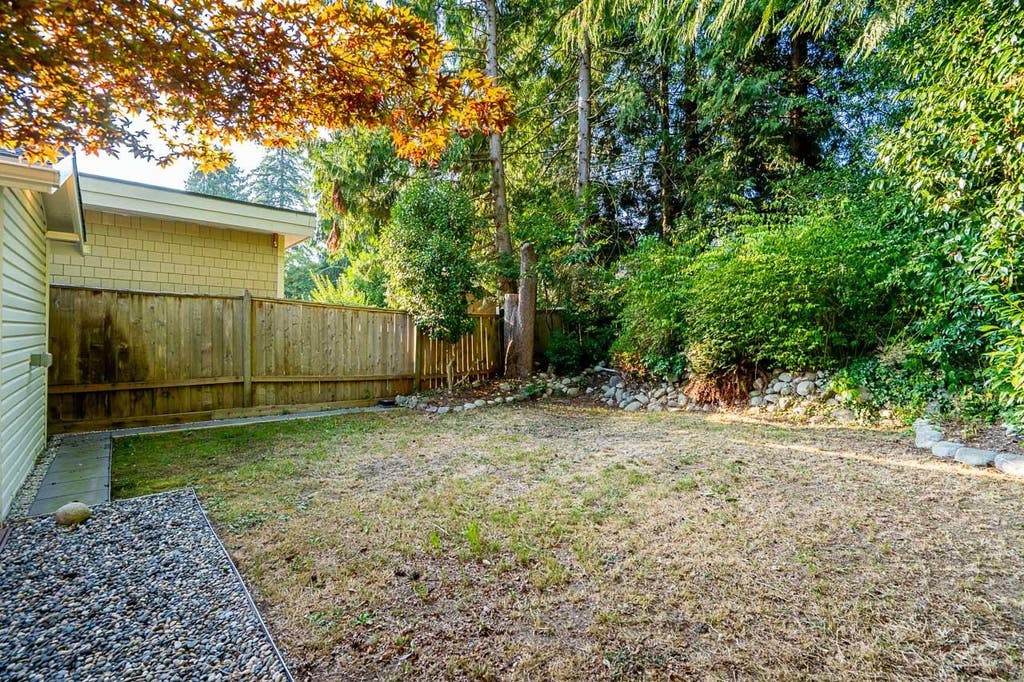 listing image 1101955224475543853