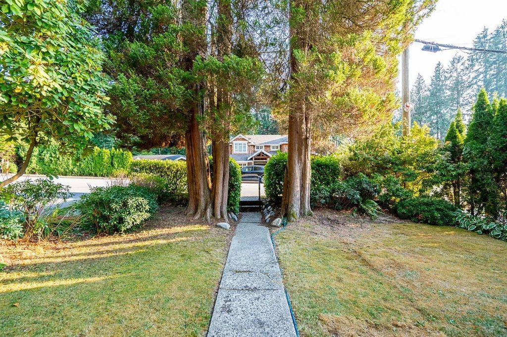 listing image 1106445018945243687