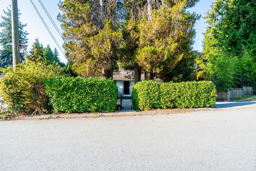 listing image 1106672121790809792