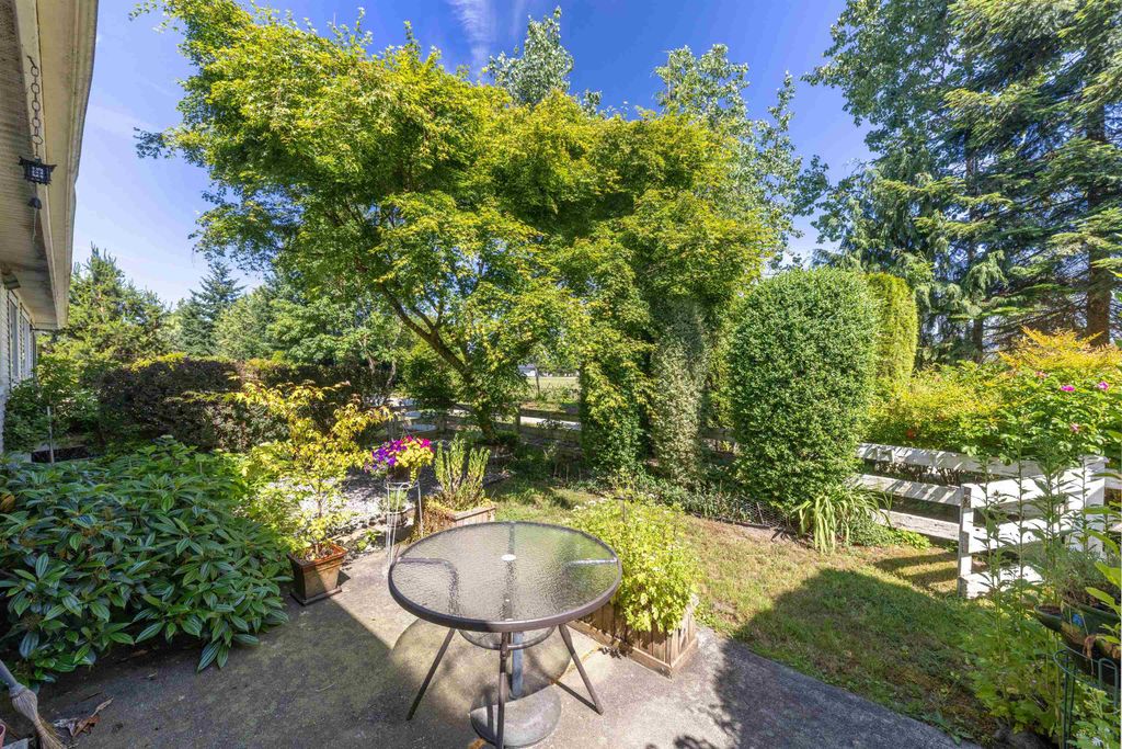 listing image 1106183403751301767