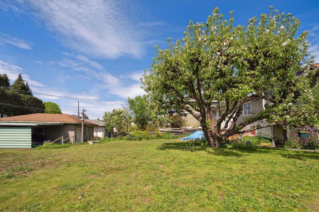 listing image 1101361698471862063
