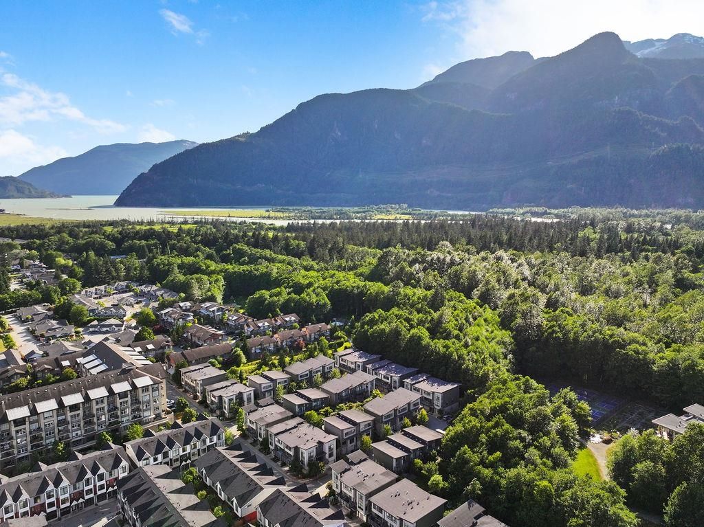 listing image 1106534603293915657