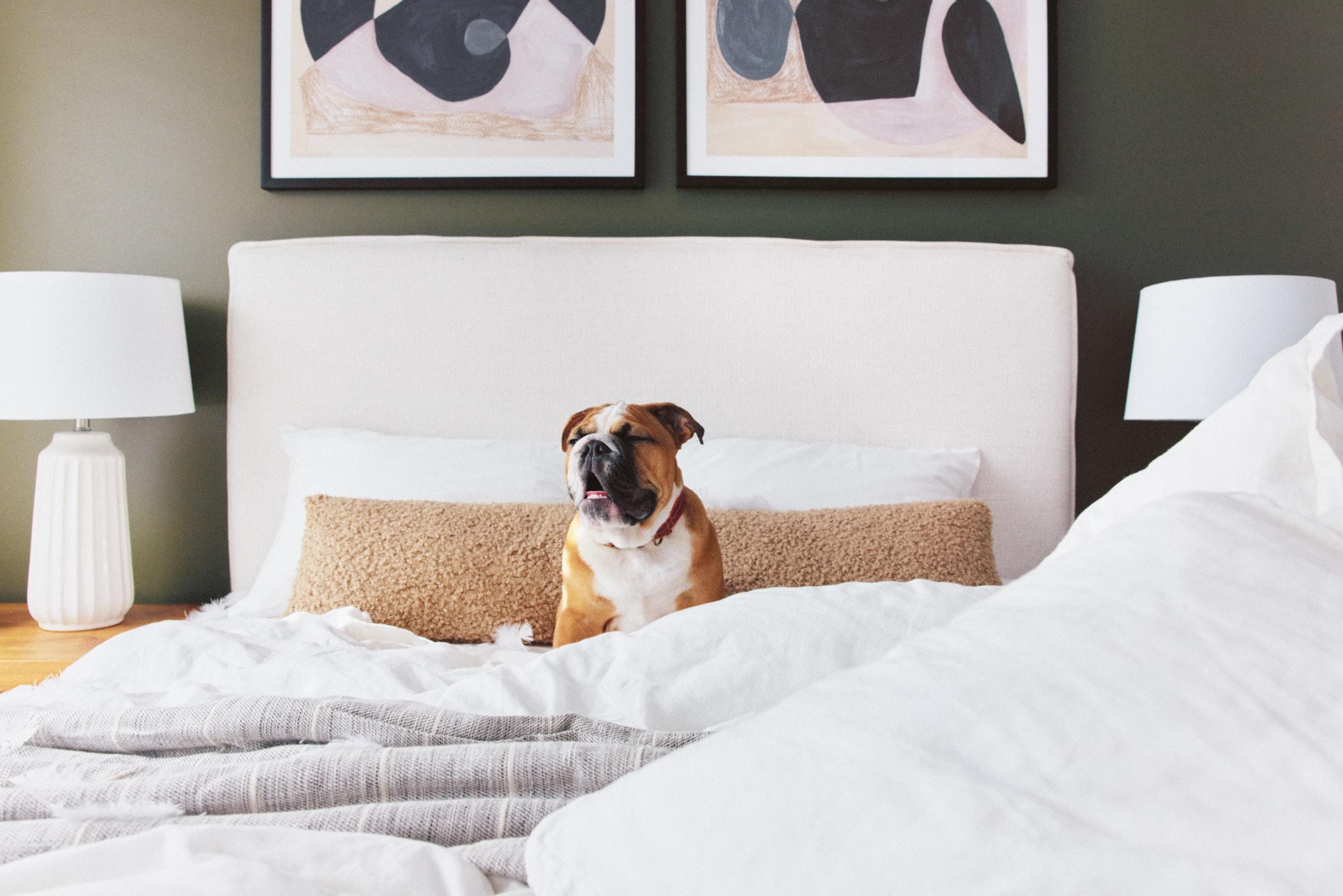 15730 Fraser Highway 508