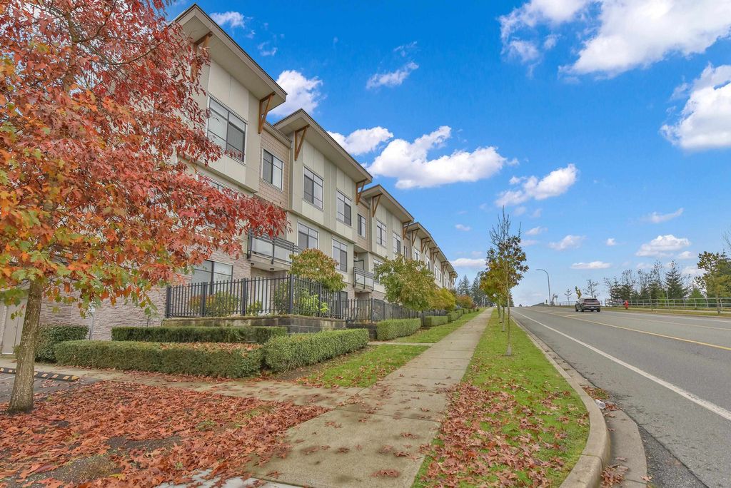 listing image 1102585025351941332