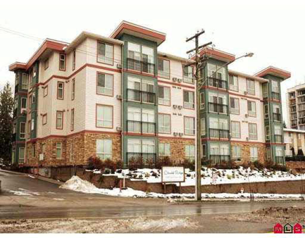 listing image 1103274733549449002