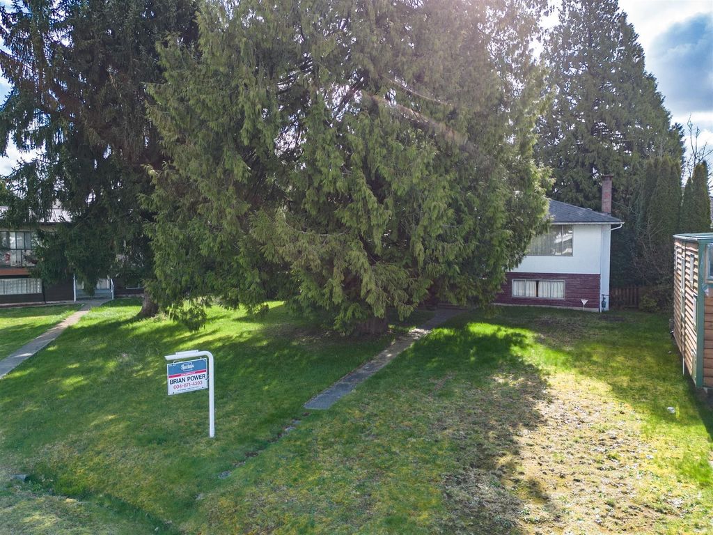 listing image 1105536581902549469