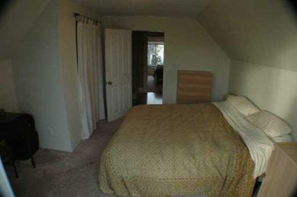 listing image 1109081810126725584