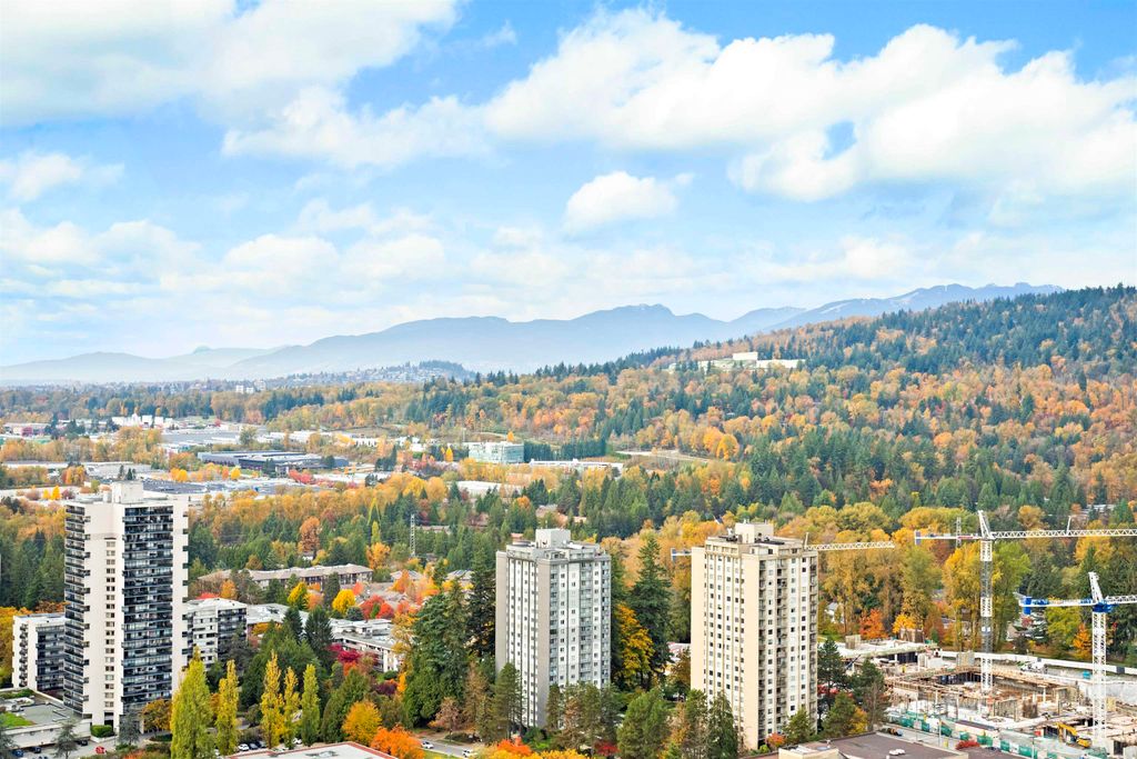 listing image 1108955714519529865